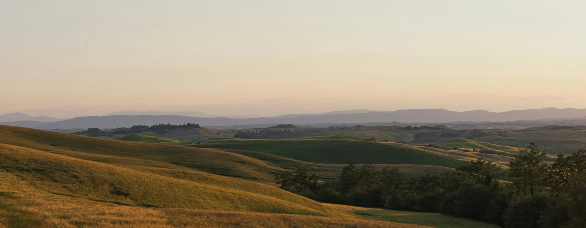 Gentle golden hills fading into haze